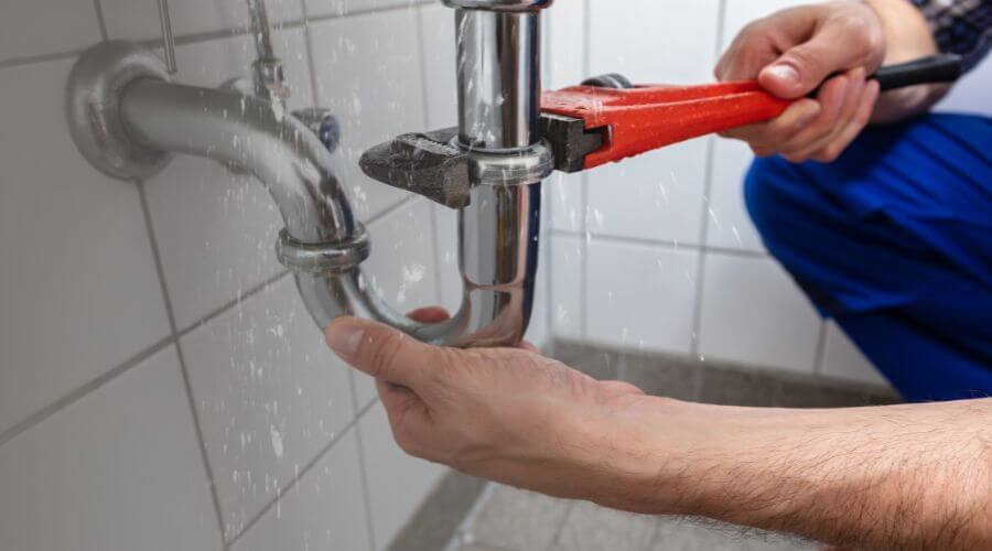 Leak Detection Services in Newhebron, MS